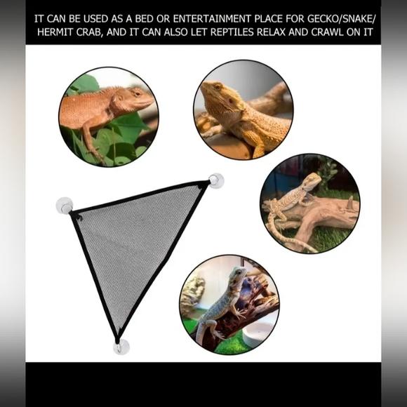 Iguana/Lizard Hammock - Picture 4 of 8